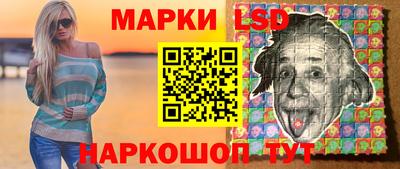 СК Шебекино