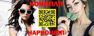 СК Шебекино